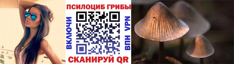 Псилоцибиновые грибы Cubensis  Купить закладки  Ейск 